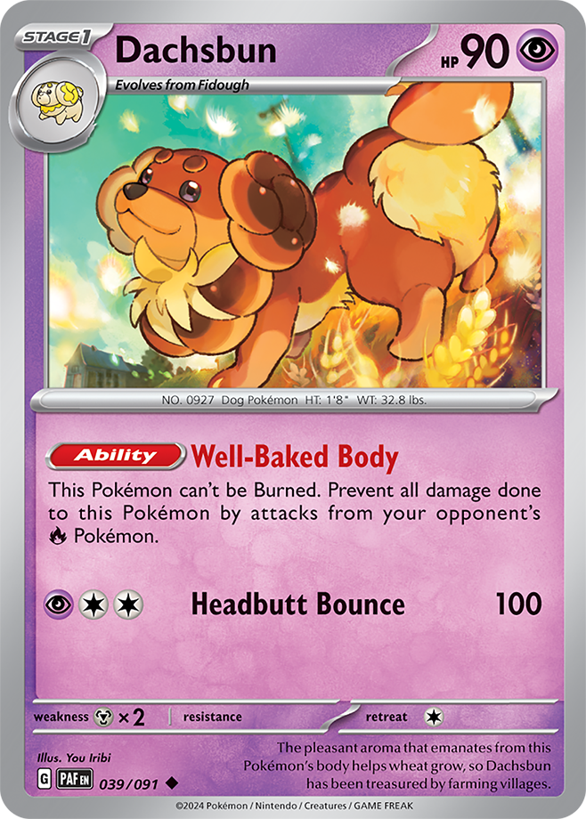 Dachsbun #39